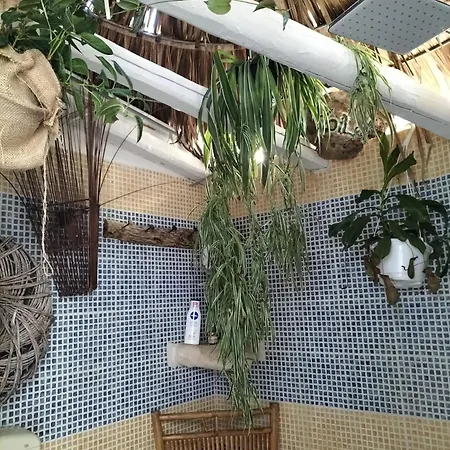 Les Siciliennes Design In Siracusa Holiday home *